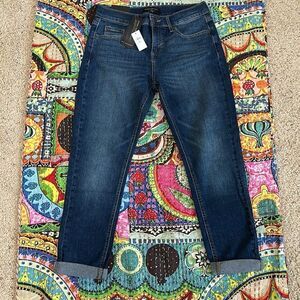 NWT Banana Republic Girlfriend Jeans 26/2P